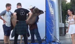 骆驼趾视频,揭秘沙漠之舟的独特适应